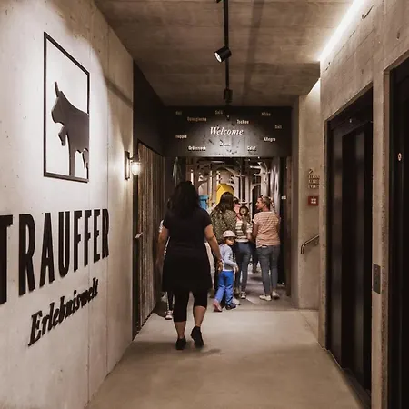 Hotel Bretterhotel