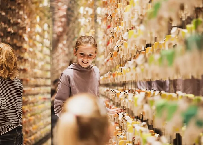 Bretterhotel Hofstetten bei Brienz