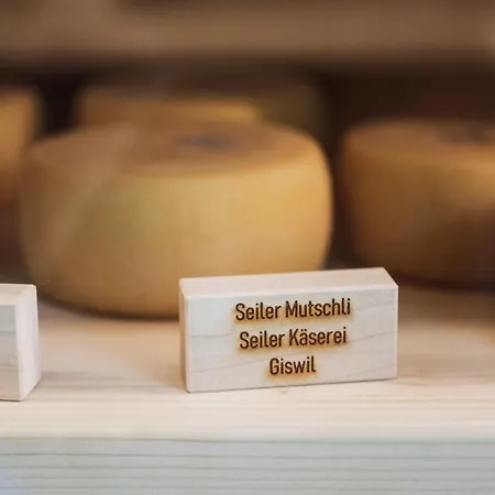 Hotel Bretterhotel Hofstetten bei Brienz