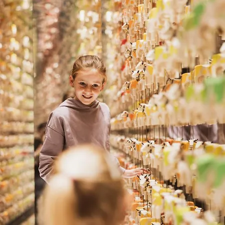 Bretterhotel Hofstetten bei Brienz